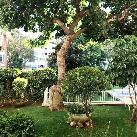 Apartment With Free Parking And Pool Marbella
